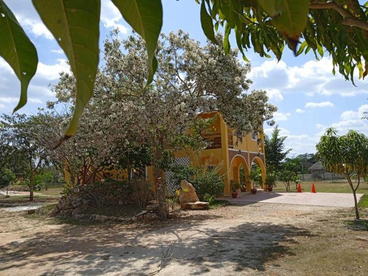 Ecohotel Shalom Valladolid  Luaran gambar